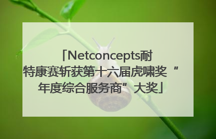 Netconcepts耐特康赛斩获第十六届虎啸奖“年度综合服务商”大奖