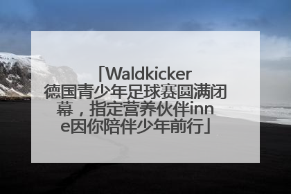 Waldkicker德国青少年足球赛圆满闭幕，指定营养伙伴inne因你陪伴少年前行